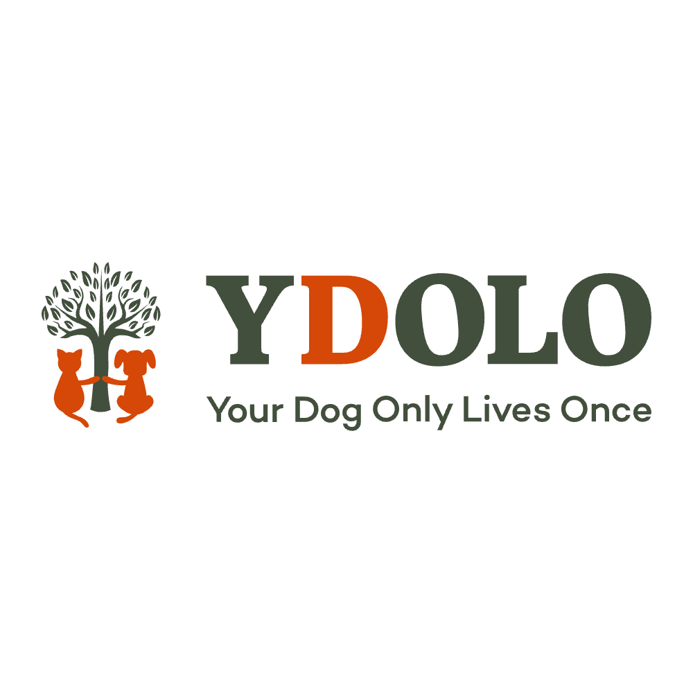 YDOLO logo